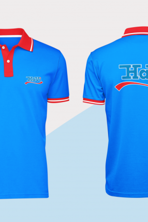 Mẫu áo thun Havi DM04